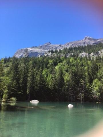 Joli T3 A La Montagne Marignier